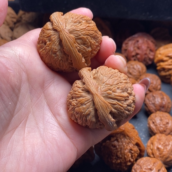 秦岭核桃1111111111