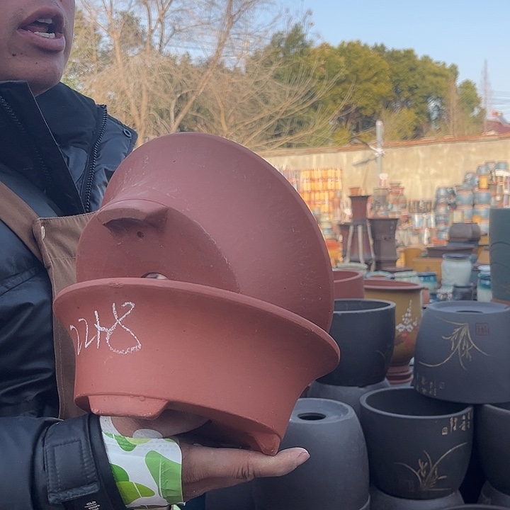 紫砂紫砂花盆盆栽