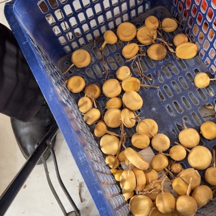 小***盗葫芦文玩摆件制品