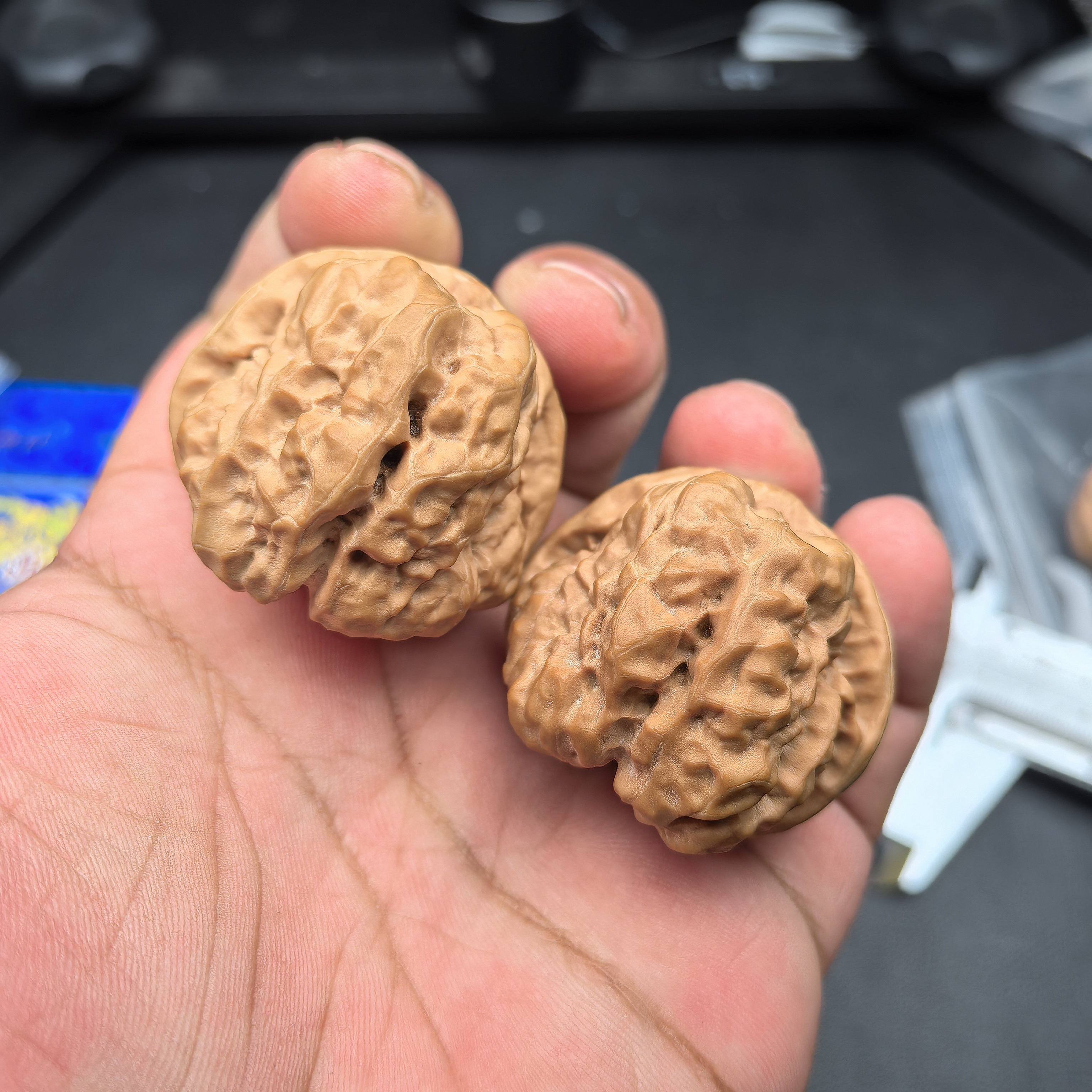 A117修尖开背肌肉蛤蟆头核桃（边39肚42高33）39克