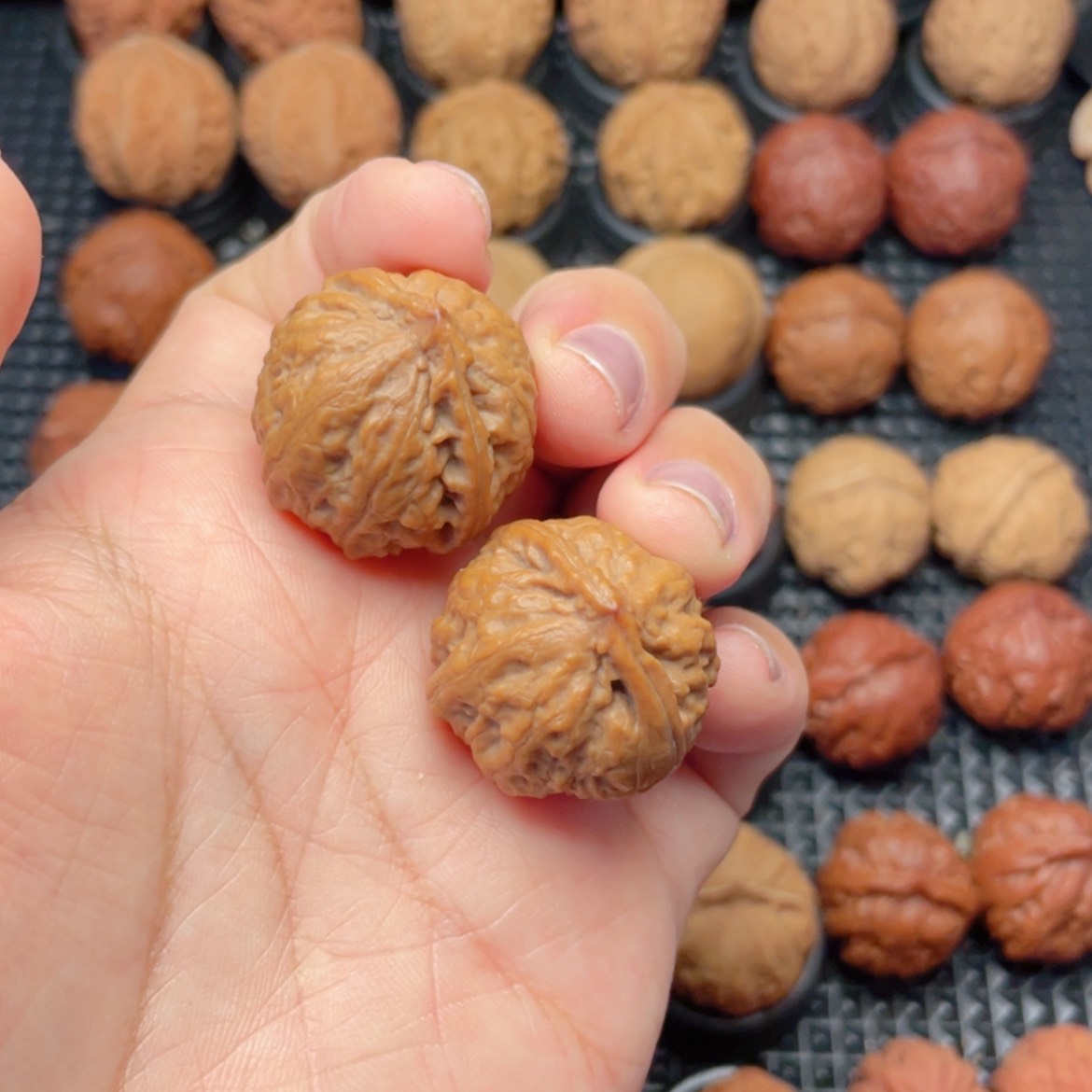 【闪购商品】把件文玩核桃吴*尼小肉包