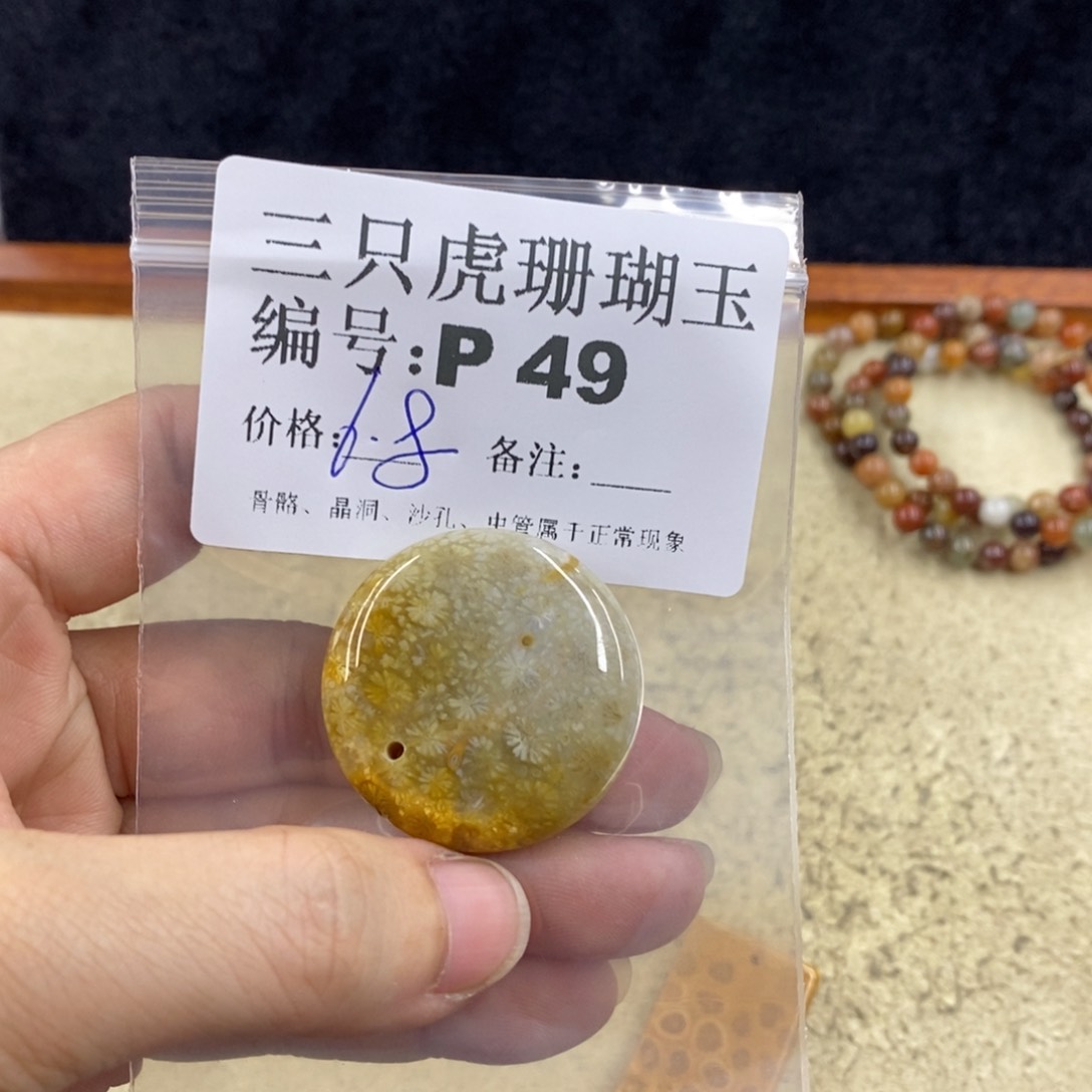 硅化珊瑚（珊瑚玉）1未镶嵌柒*