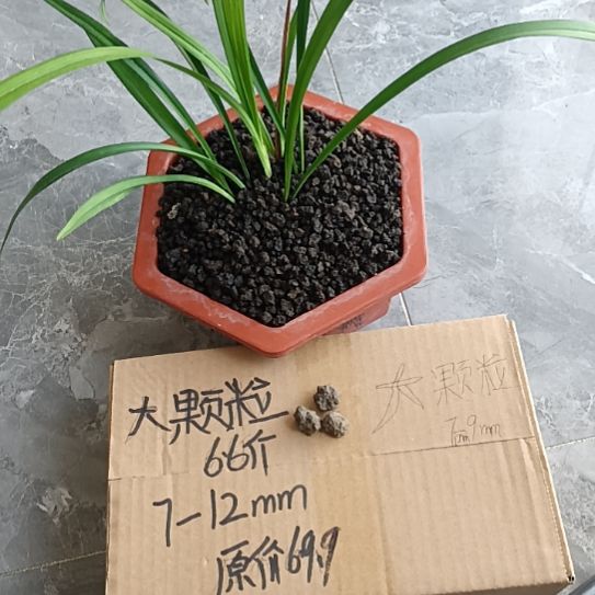 八***金兰菌黑山土大颗粒6.6斤