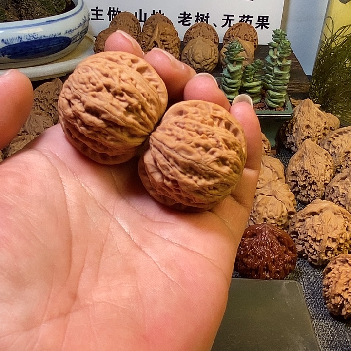 阳***光核桃全品无修无药铁锤260