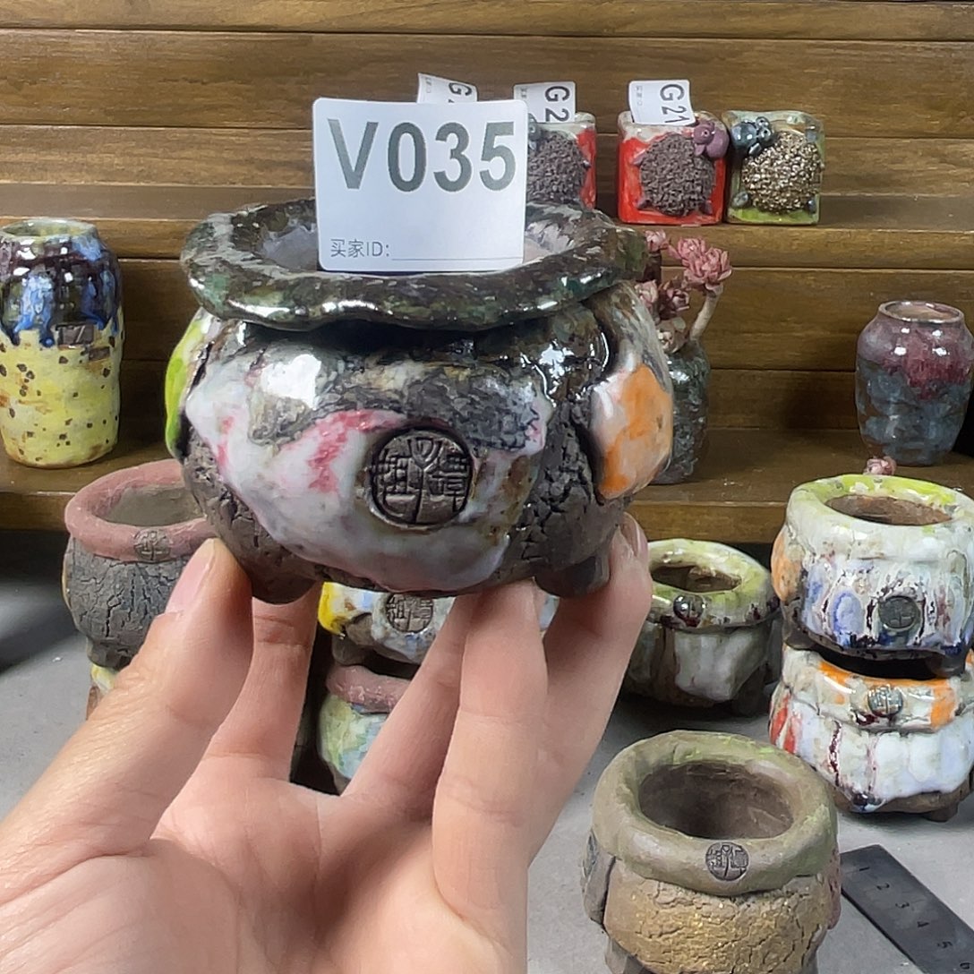 真***啊坛子姐多肉花盆内口