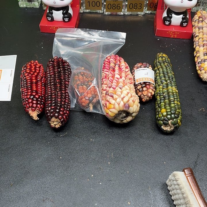 凉***✿吊坠柏香籽/百香籽