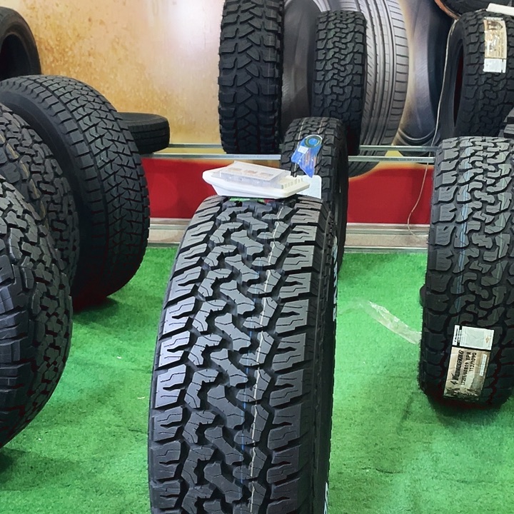 歌谱265-65-18。4条气嘴1铲子1