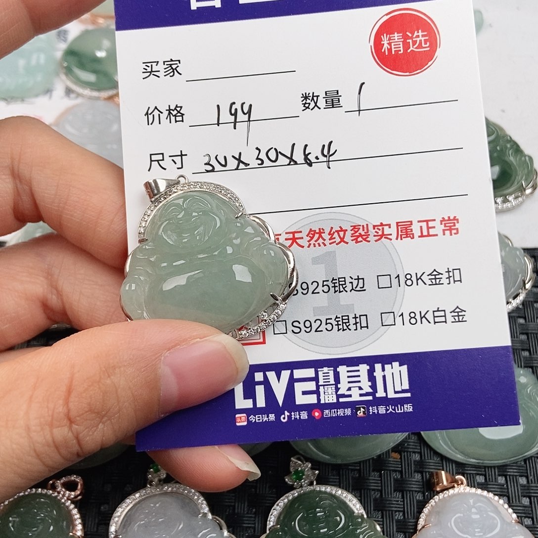 翡翠银S925镶嵌颈饰