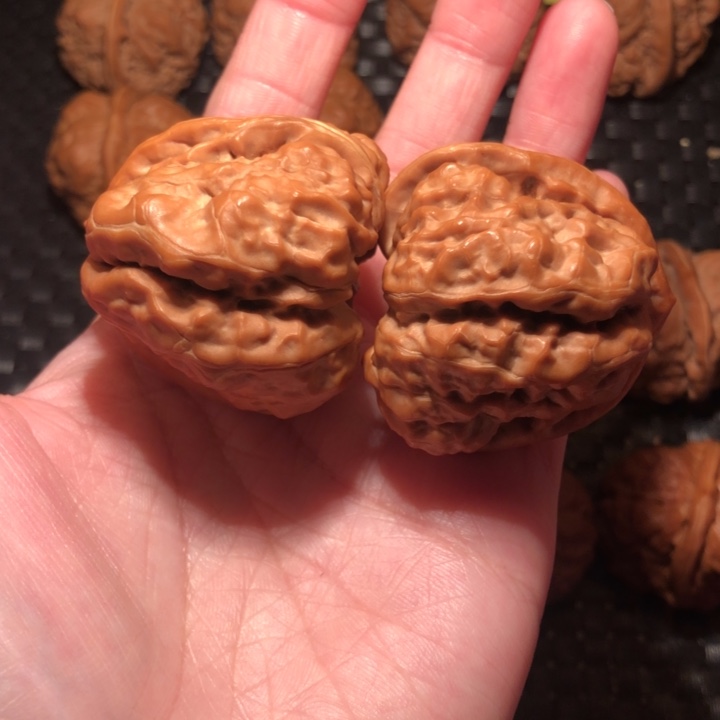 S***e把件文玩核桃蛙王