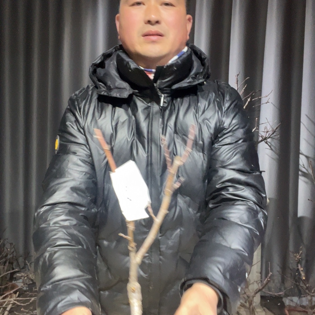 无花朵原图圆盘指向发货，略微段这属于正常。