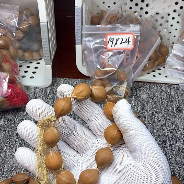 手串/手链橄榄核1.9✖️2.4蒜头素串