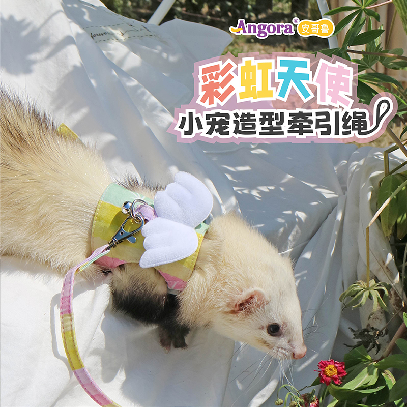 【新品上新】安哥鲁雪貂牵引绳雪貂专用彩虹天使可调节外出牵绳子