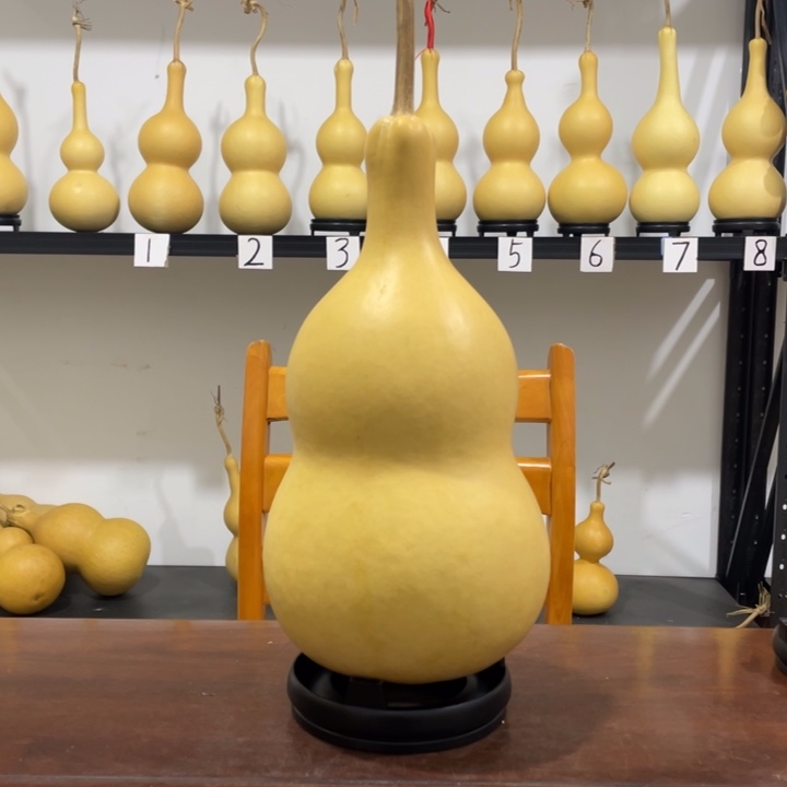 玫***主长嘴厚皮八宝葫芦