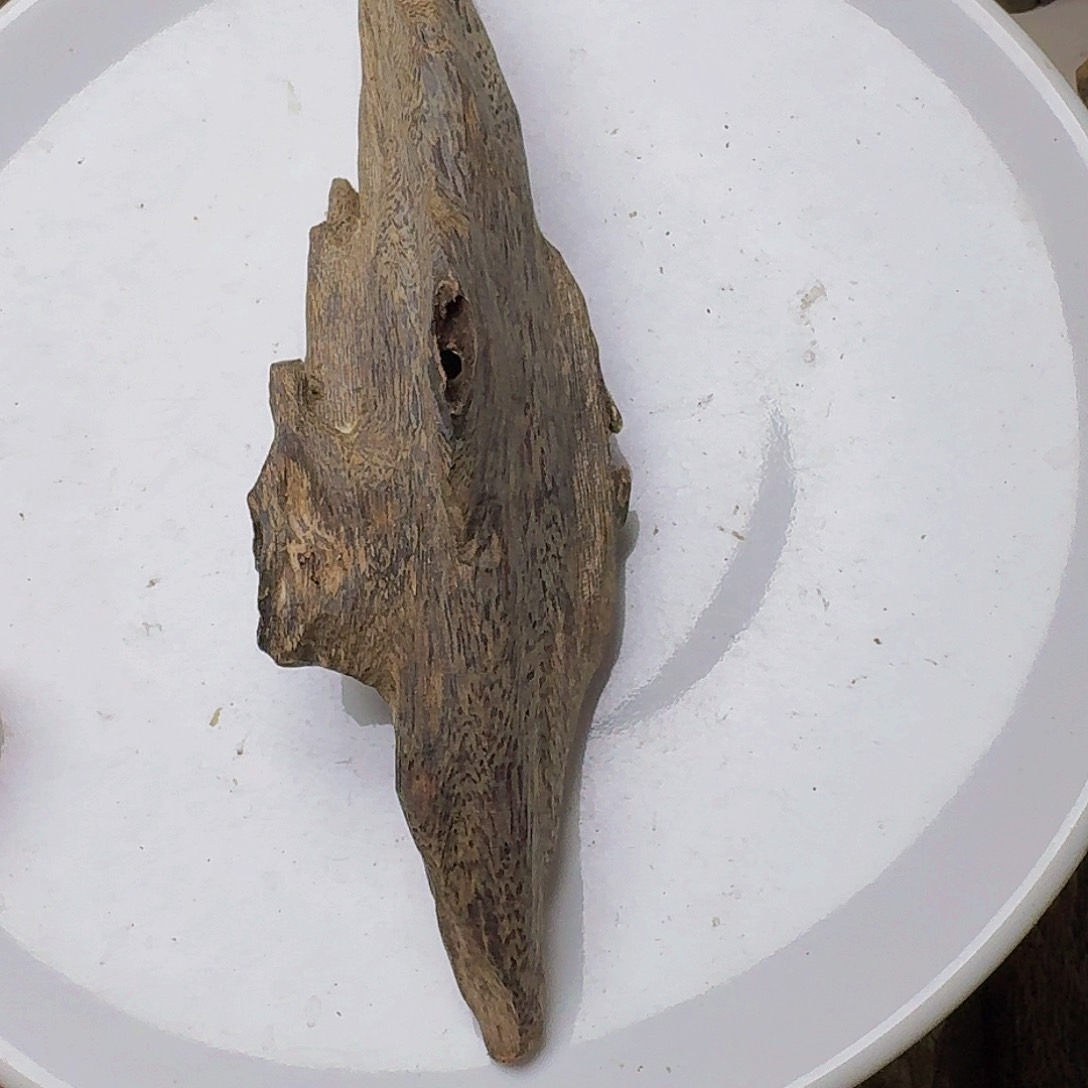 沉香沉香碎屑摩*座陆河纯虫漏41克