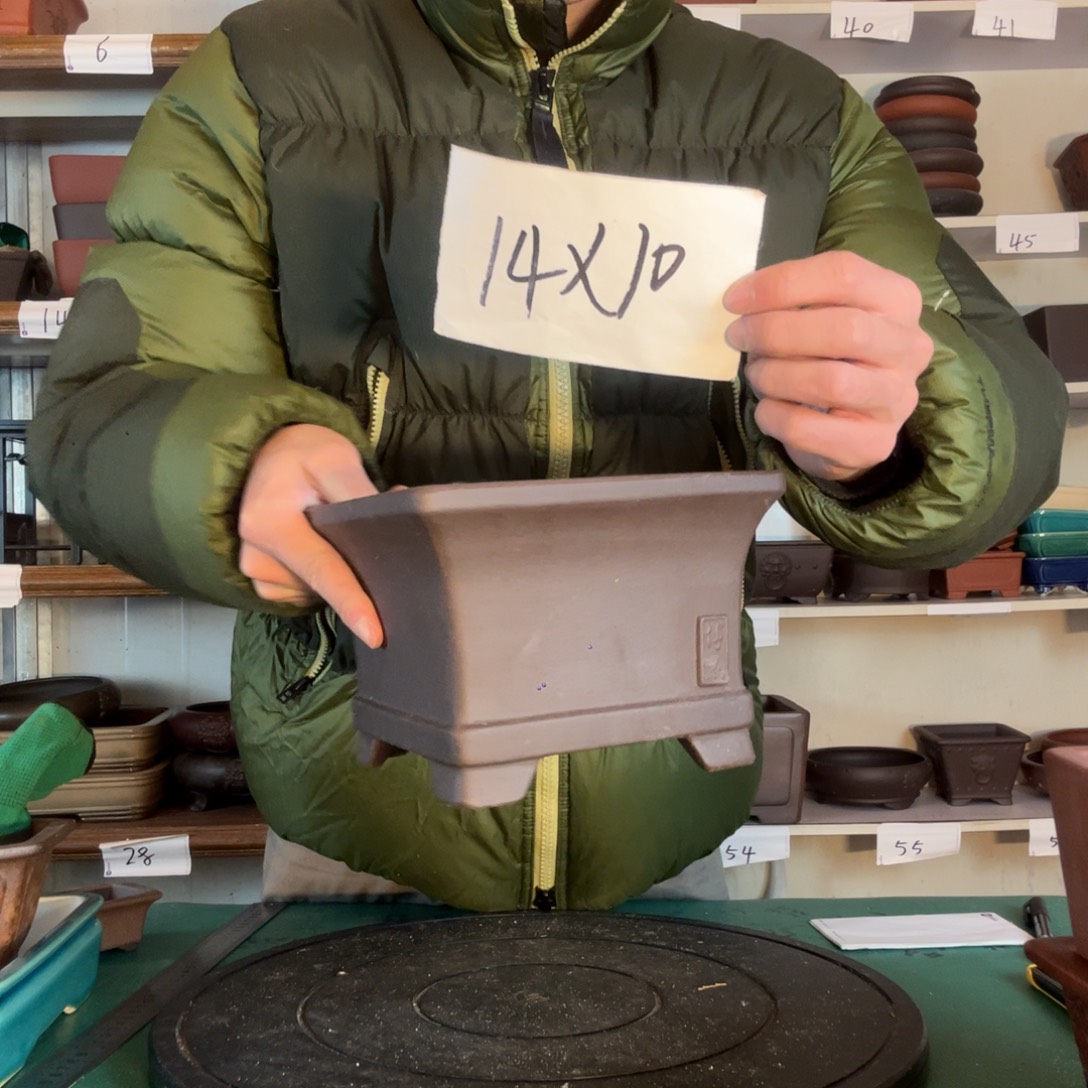 广告方法出v回家女方法