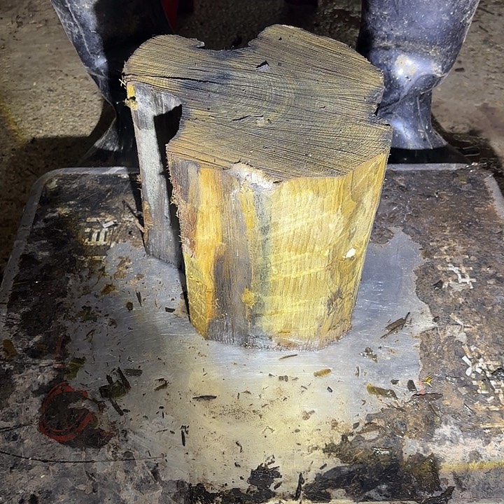 金丝楠啊啊啊啊啊啊啊