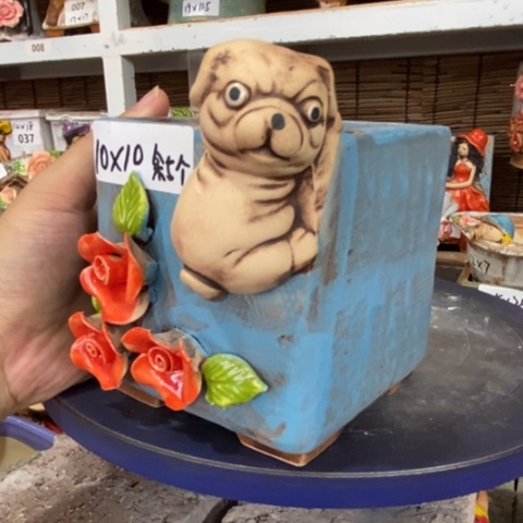 【闪购商品】        