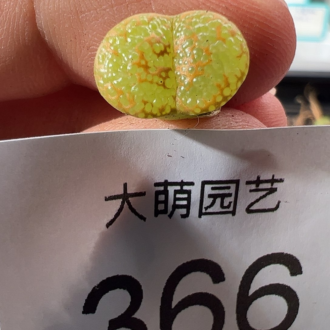 0000366 一物一拍……