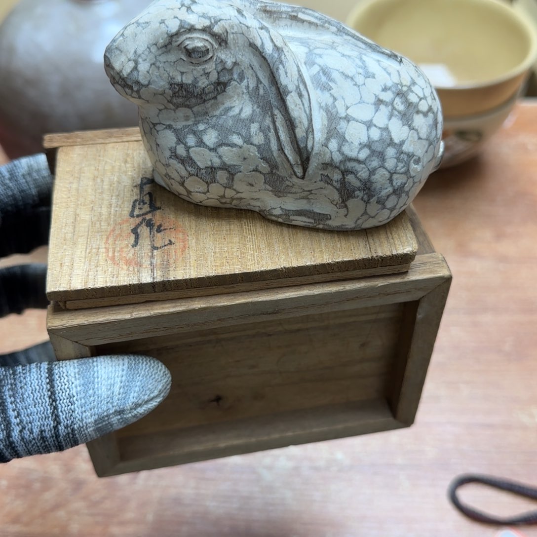 茶宠青云店店长告诉我们你