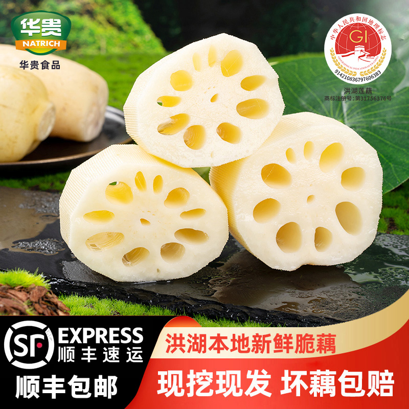 精选洪湖新鲜脆藕清炒脆甜爽口新花脆藕1斤/3斤/4斤冷链包邮