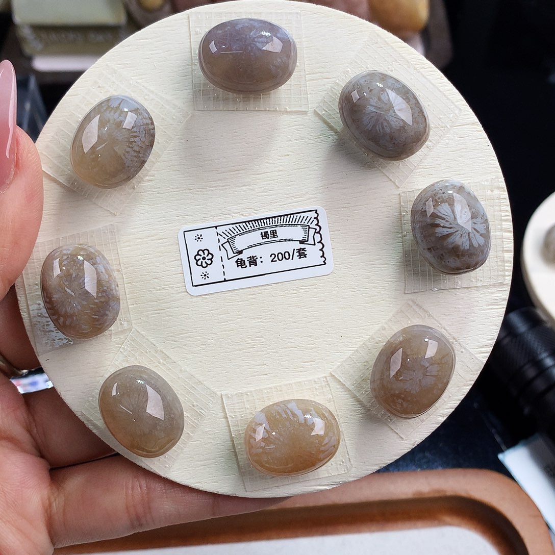 艾***多硅化珊瑚（珊瑚玉）未镶嵌吊坠(赠链)