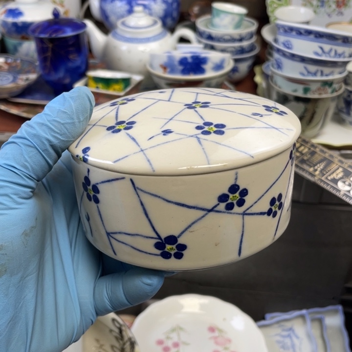 陶莱瓷购购购购购购