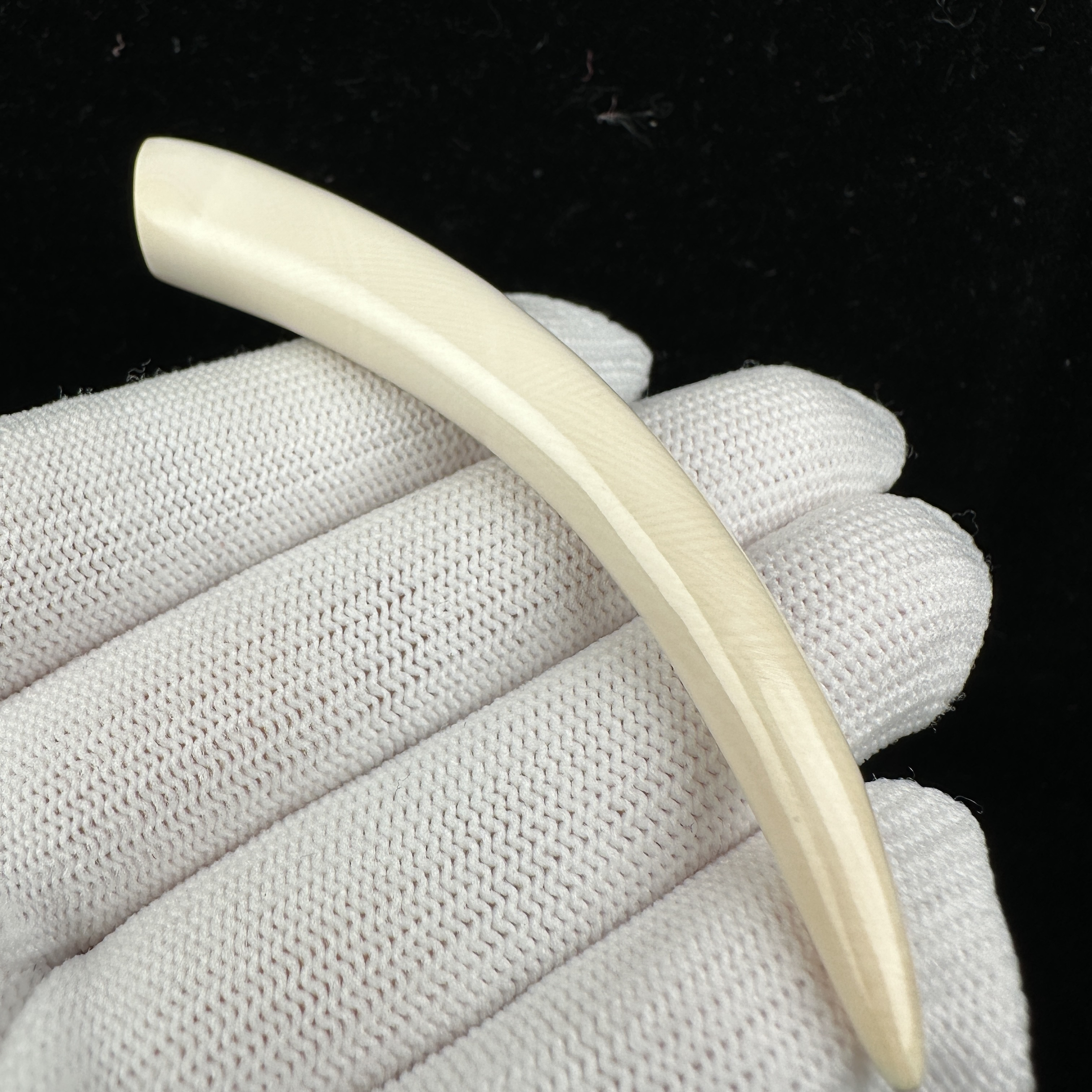 D4455天然猛犸牙 牙尖 84mm支持鉴定 假一罚四