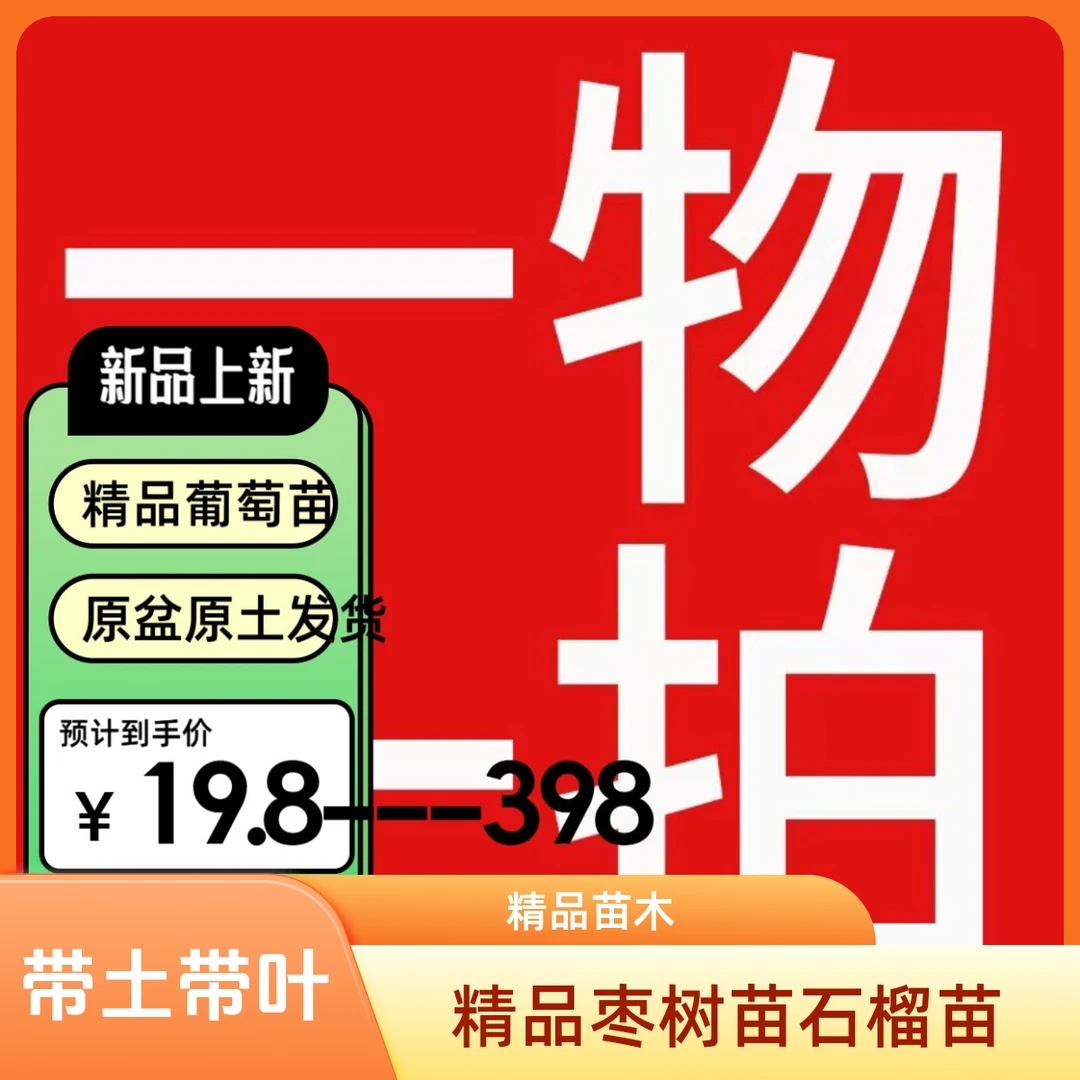 精品葡萄苗水果树苗果树原盆原土苗发货射击葡萄树苗