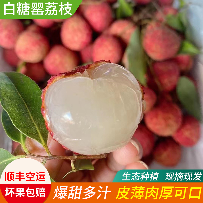 【顺丰空运】精品白糖罂荔枝新鲜现摘现发当季水果鲜甜爆汁顺丰到家