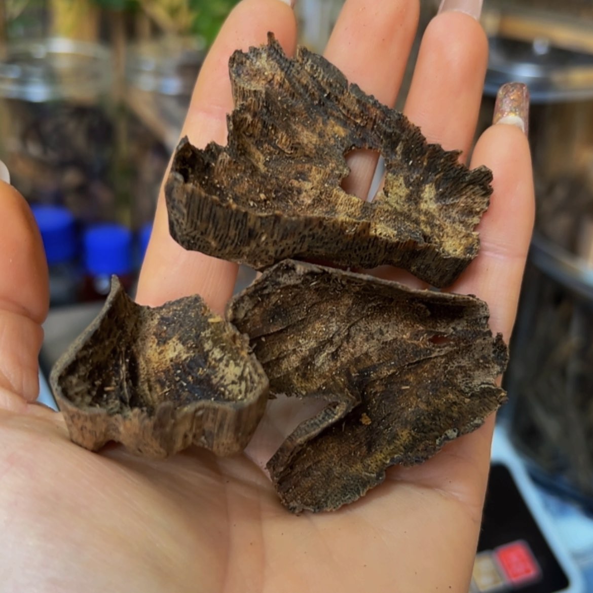 【闪购商品】沉香手把件奇楠透顶绿老块料20克