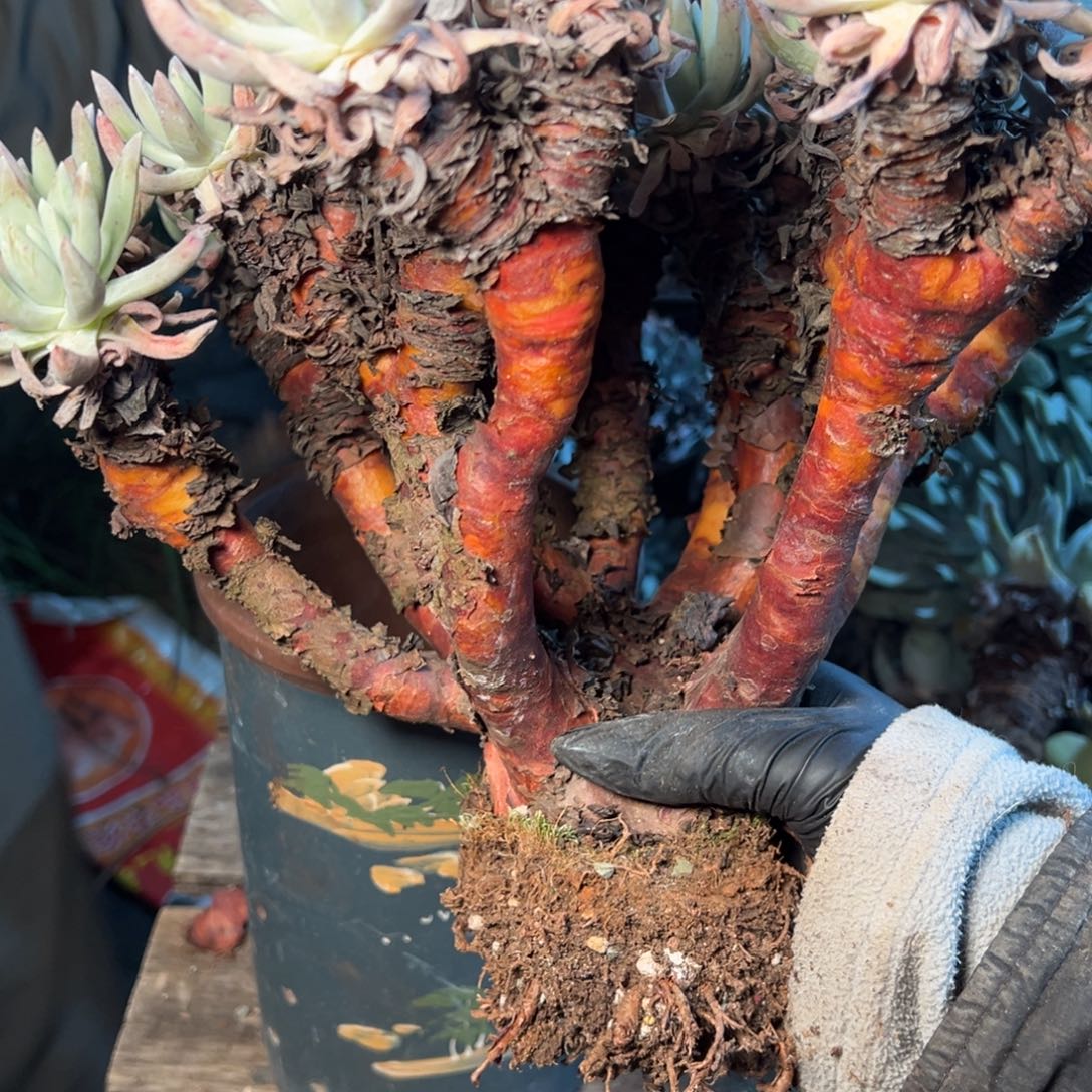 8469哈哈哈哈哈哈哈哈