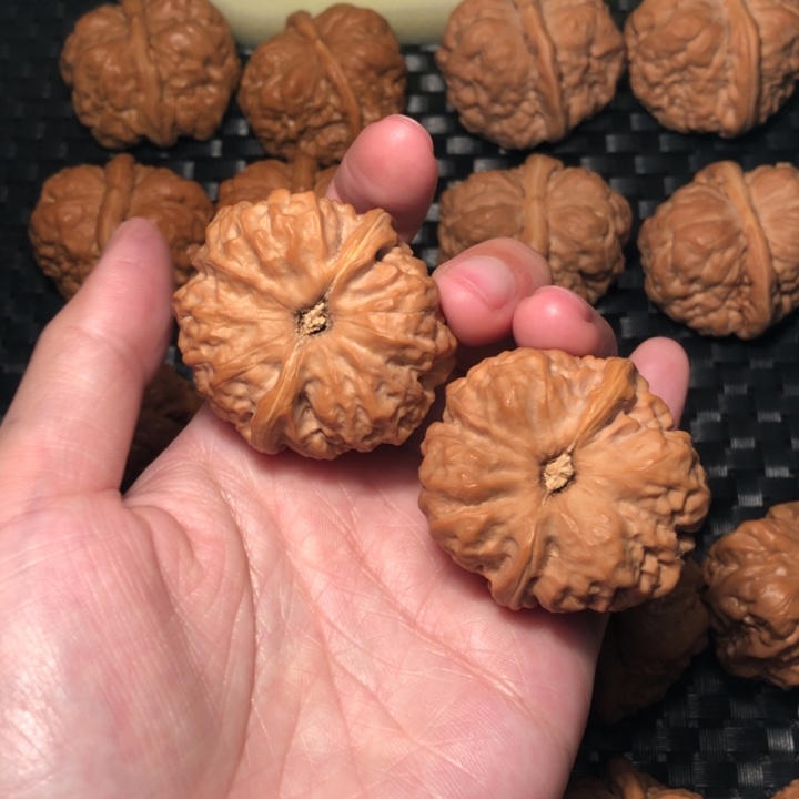 文玩核桃把件?*嘻蛤蟆