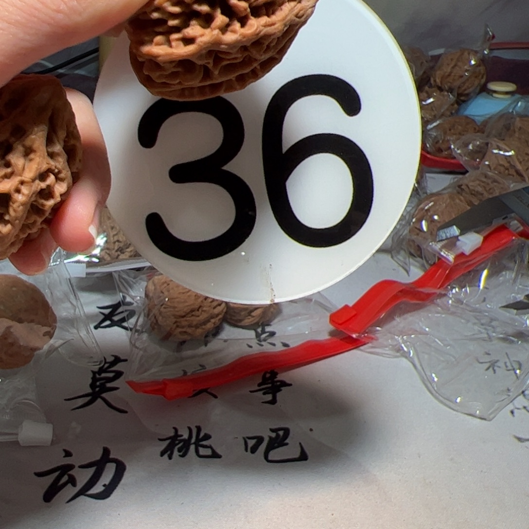 桔***邦文玩核桃 白色36好