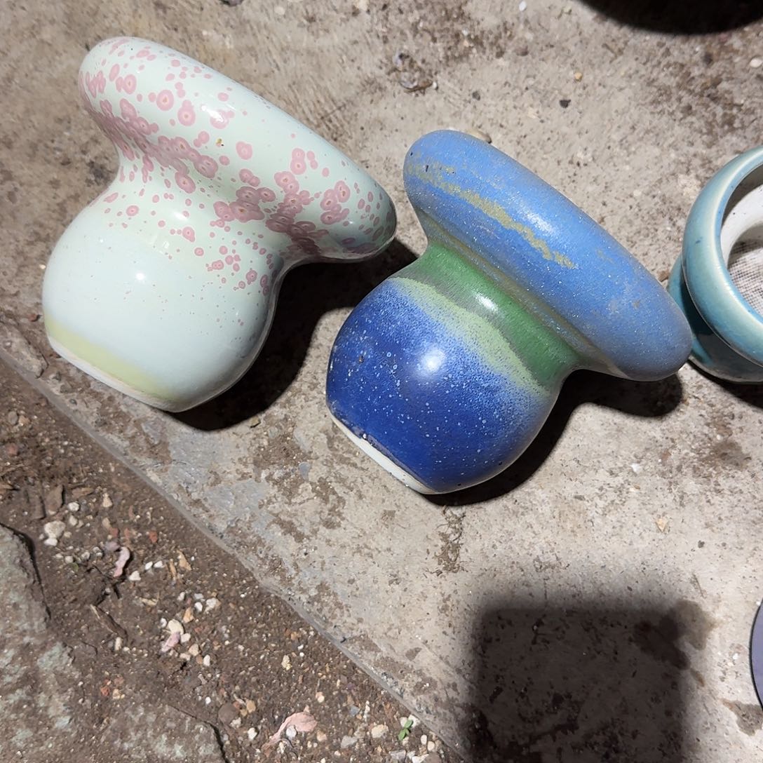 两个鸡腿菇花盆多肉植物