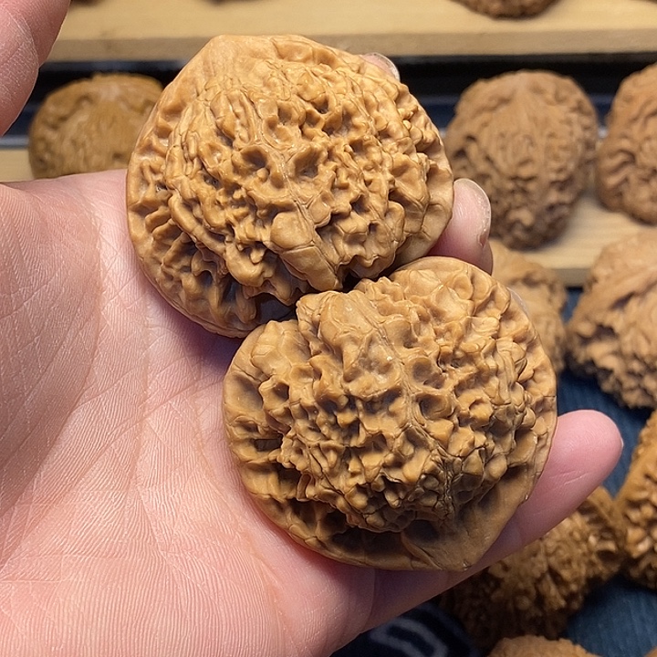 冲***动核桃50全品龙鼎官帽福利