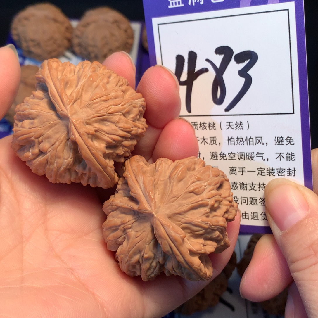 核桃483白狮子4.4全品