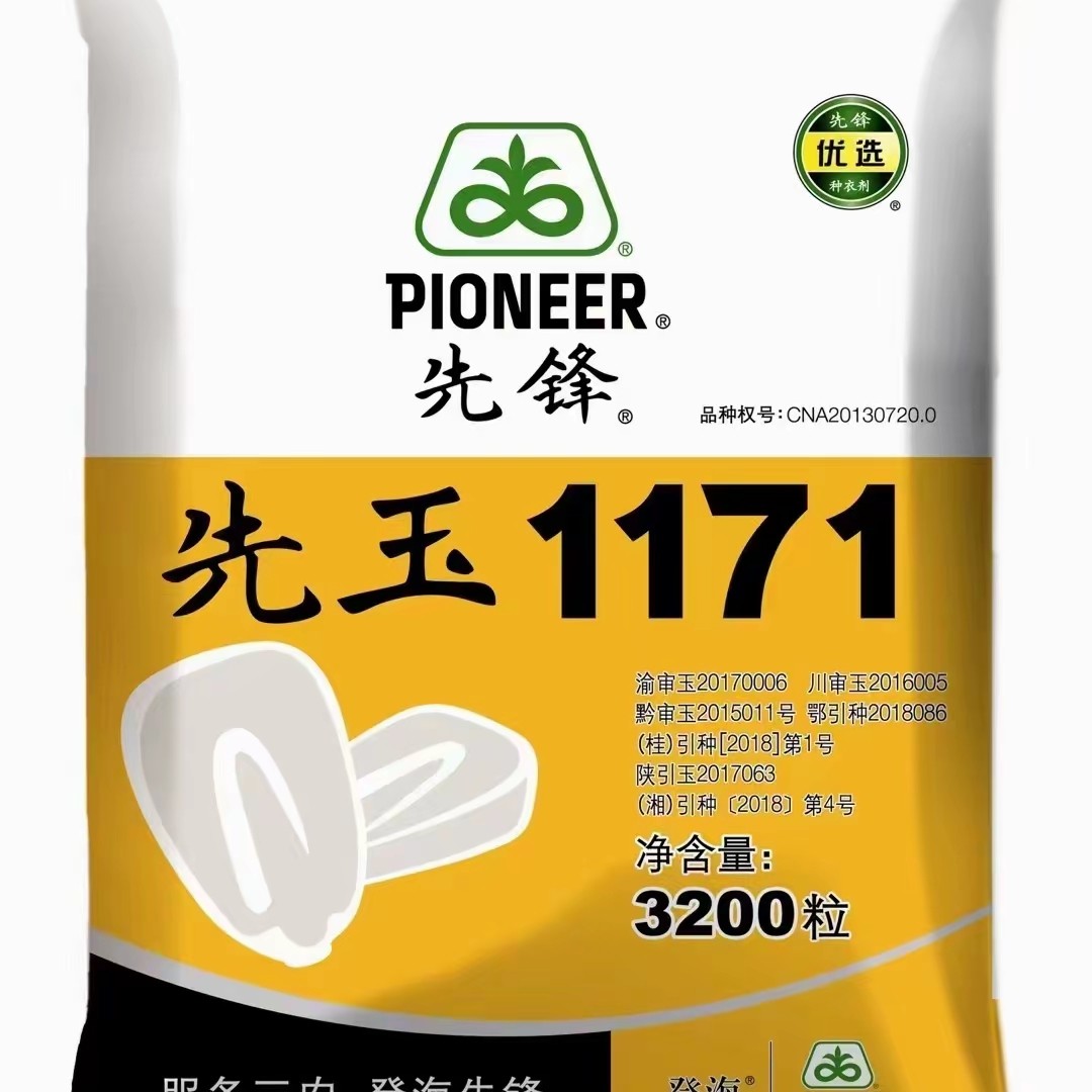 3200粒包装先玉1171玉米种子 下单送菜种