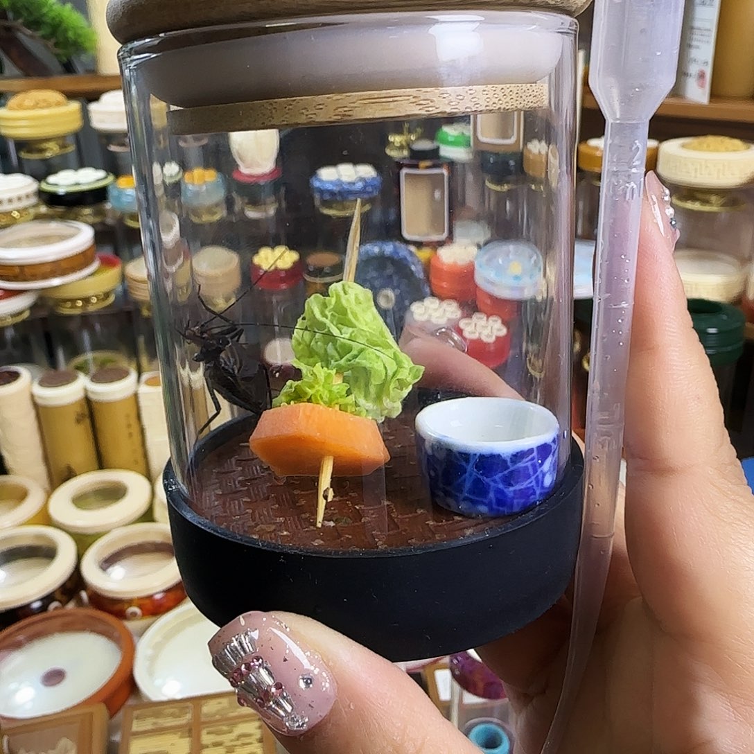 玻璃罐➕麒麟啊啊啊啊啊