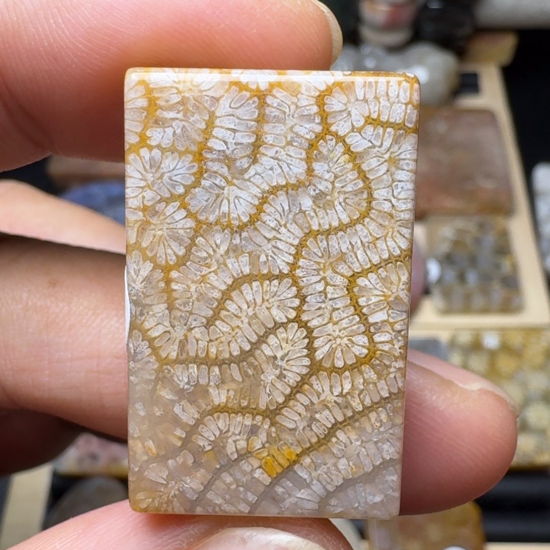 硅化玉未镶嵌纯天然色有机玉石保真色