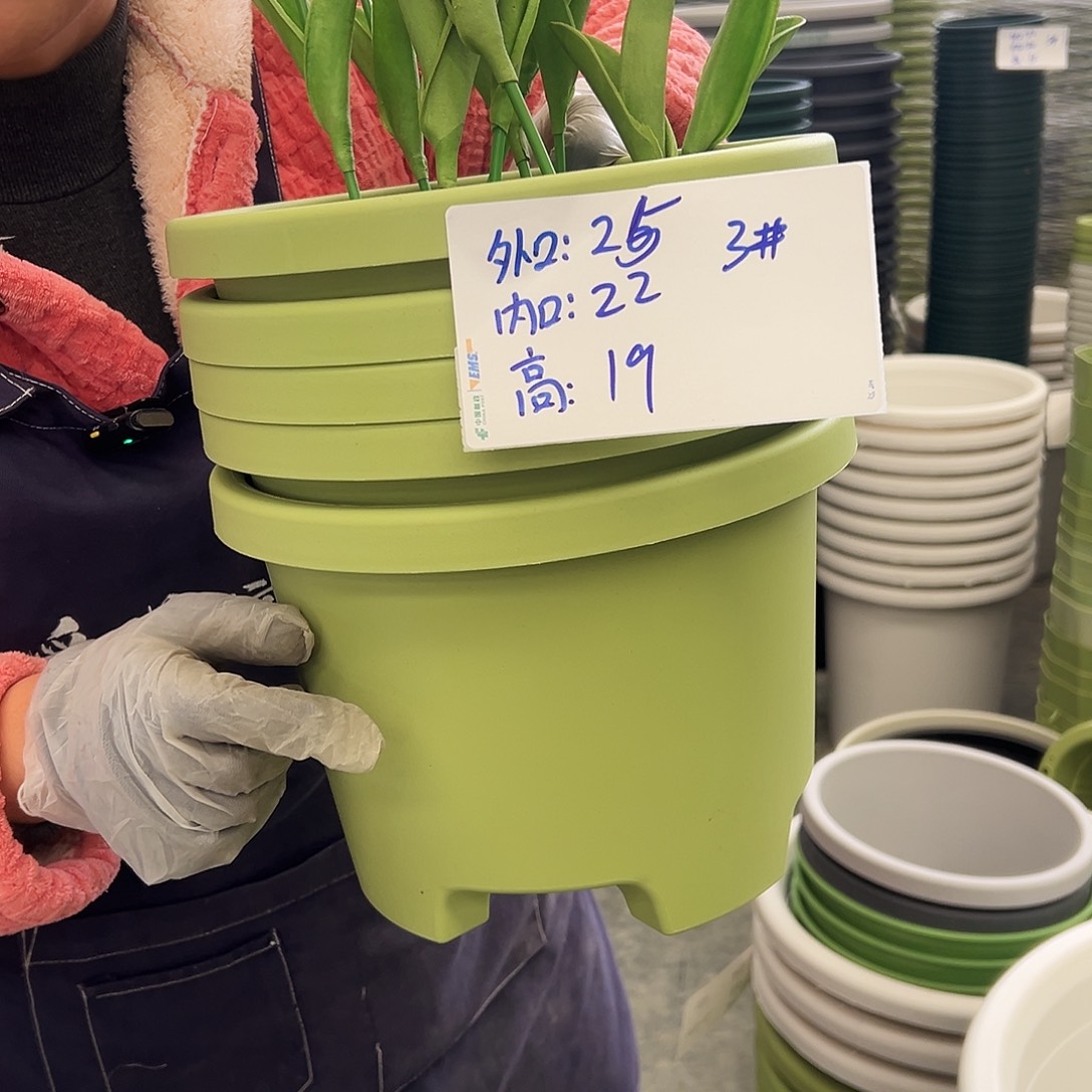 球根盆3#果绿色5个无托