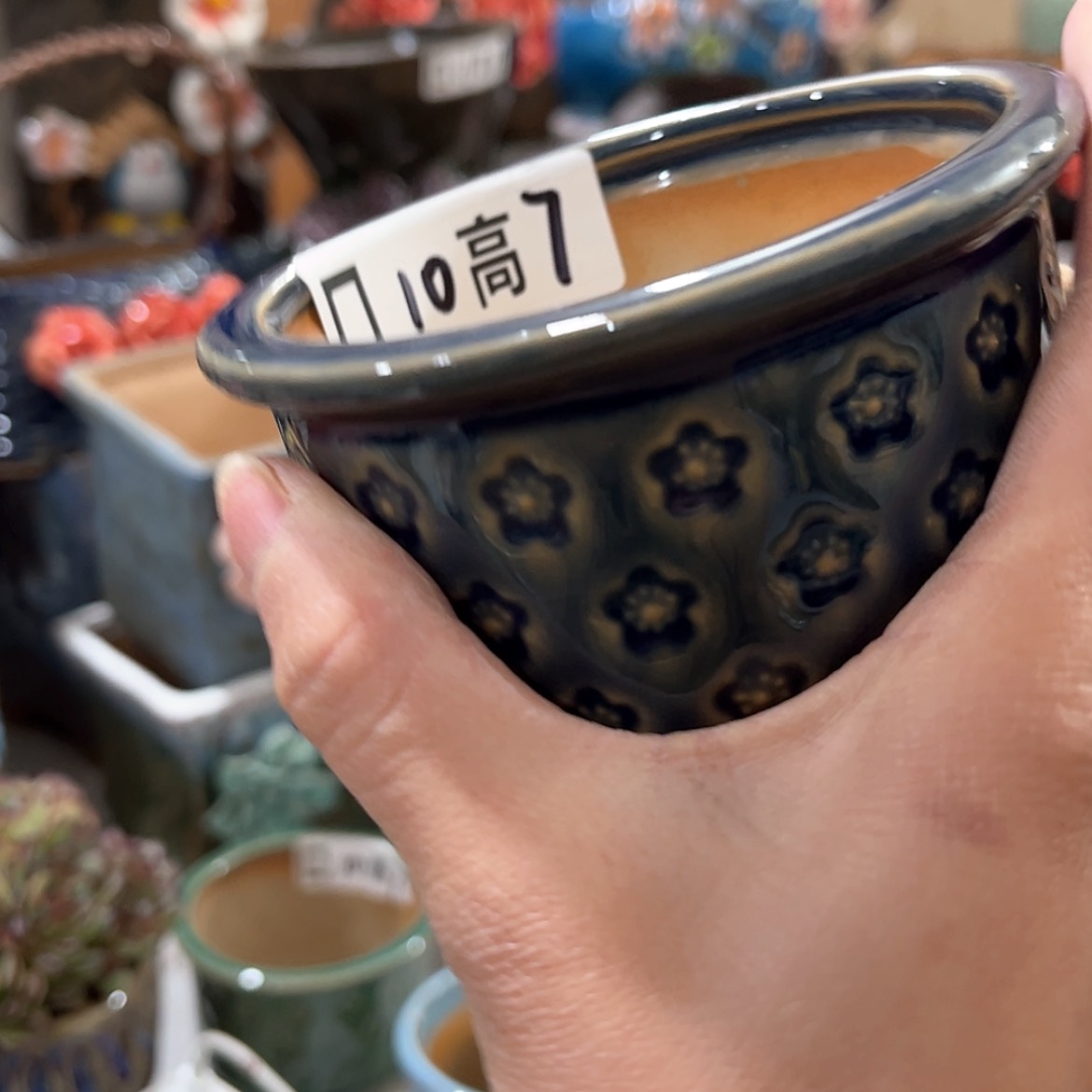 【闪购商品】红陶福利