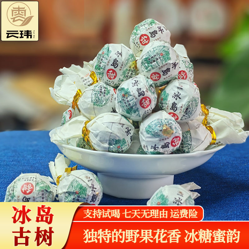 云玮2025冰岛龙珠普洱茶生茶冰糖甜甜度高香气扬回甘生津好发货快