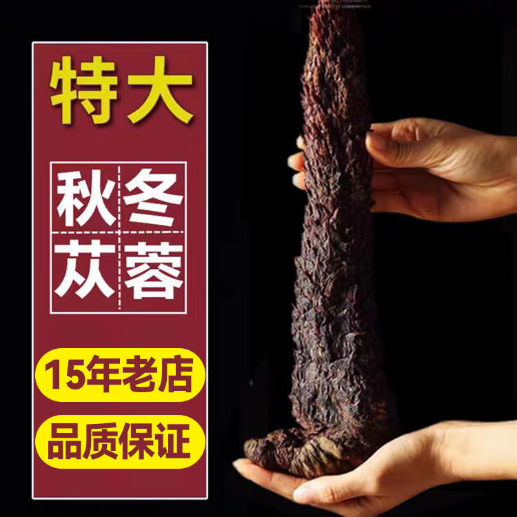 肉苁蓉中药材正品官方旗舰店100%荒漠特级内蒙古阿拉善整根500g