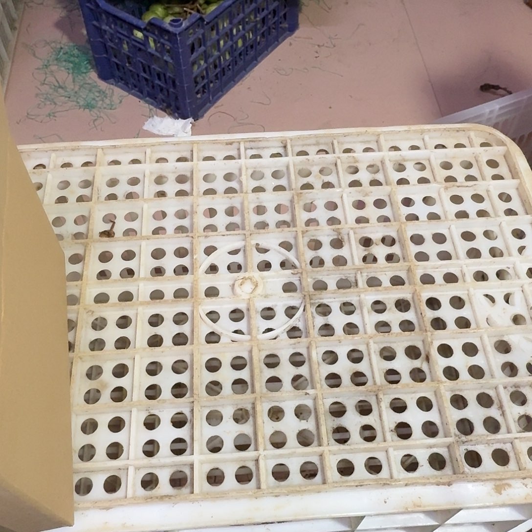 落***子葫芦葫芦花为食药植物用花香草