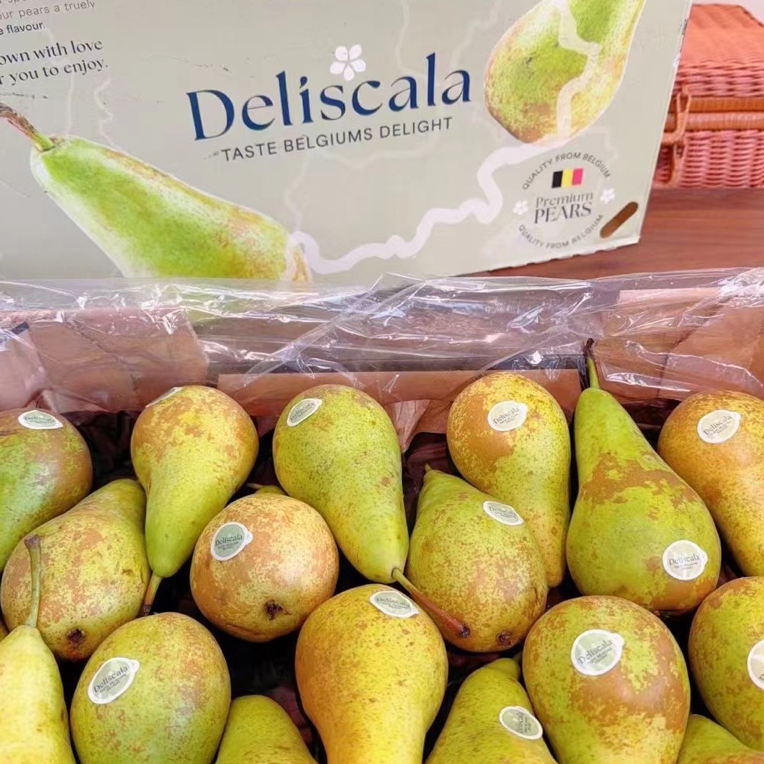 智利进口彩啤梨 新鲜