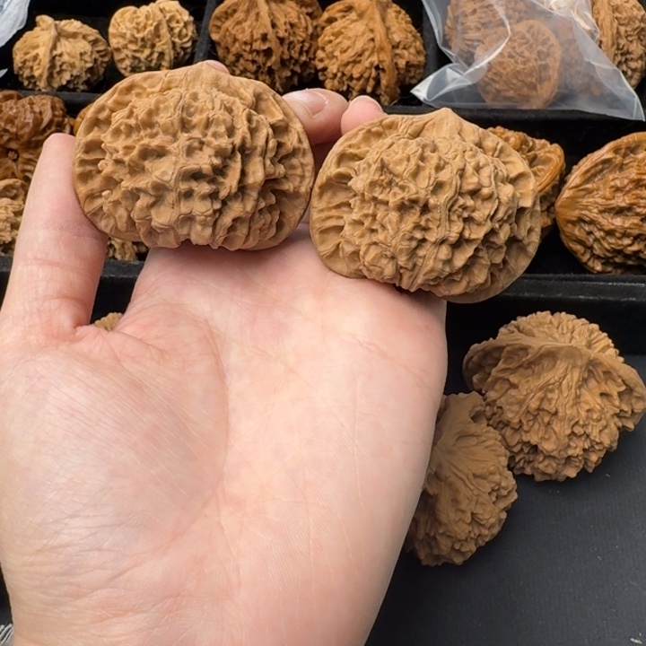 苦***参把件文玩核桃官帽52普对