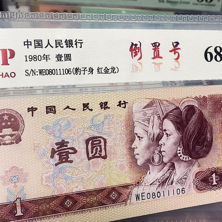 红金龙倒置'08011106，，，，，