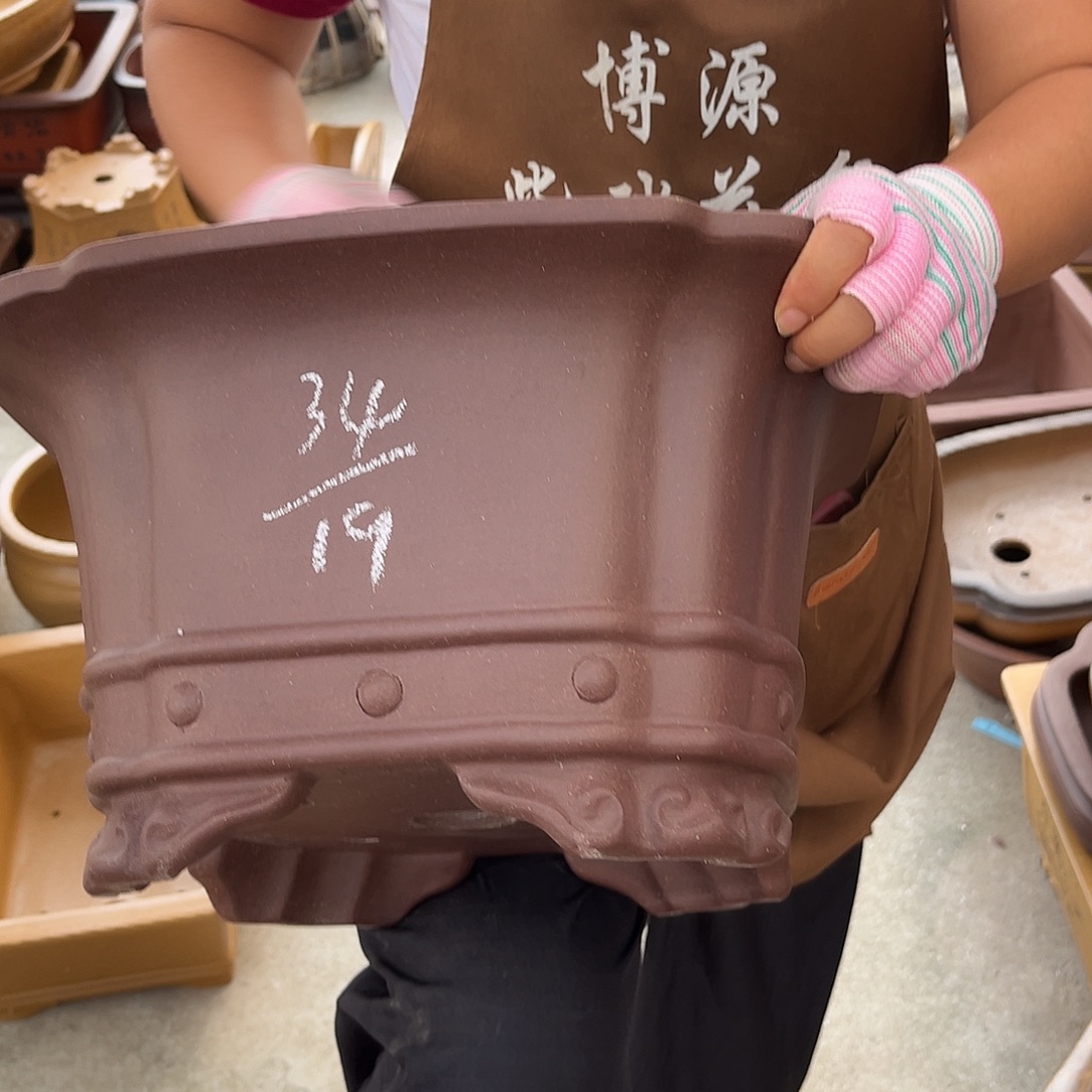 紫砂花盆盆景艺术