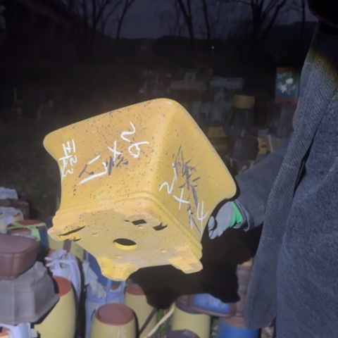 红陶紫砂花盆盆景盆栽瑕疵