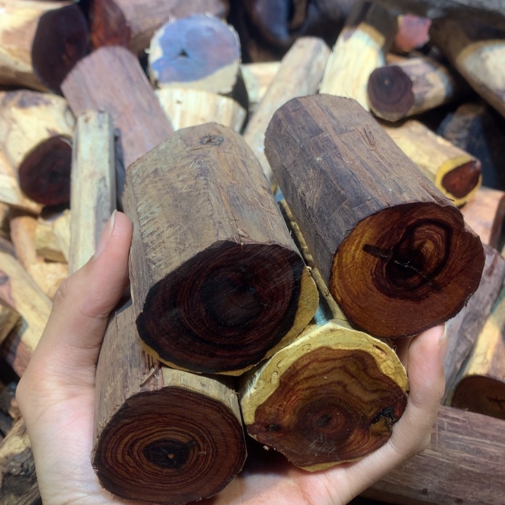 黄花梨/降香黄檀